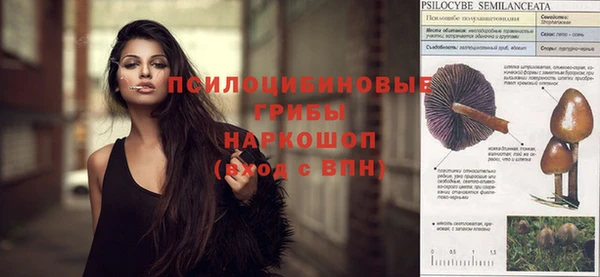 PSILOCYBIN Заволжье