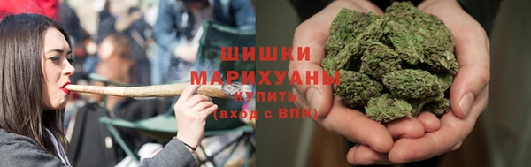 2c-b Заводоуковск