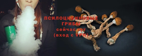2c-b Заводоуковск
