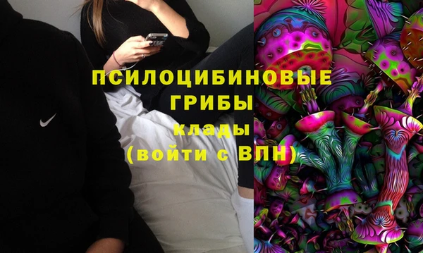 PSILOCYBIN Заволжье