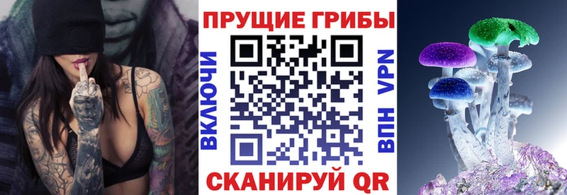 Купить  Карабаш  Галлюциногенные грибы прущие грибы 